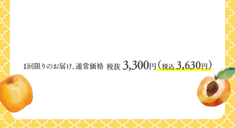 1回かぎりお届け、通常価格3,300円（税抜）